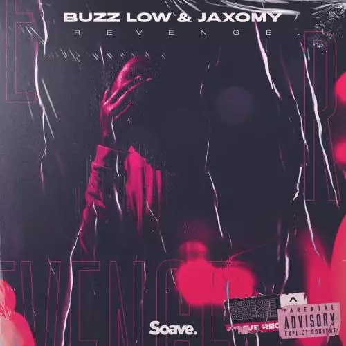Buzz Low & Jaxomy - Revenge