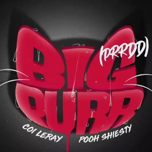 Coi Leray feat. Pooh Shiesty - BIG PURR (Prrdd)