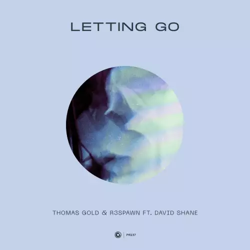 Thomas Gold & R3SPAWN feat. David Shane - Letting Go