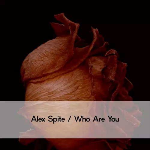 Alex Spite - Who Are You