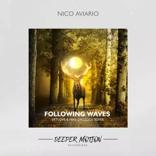 Nico Aviario - Following Waves (VetLove & Mike Drozdov Remix)