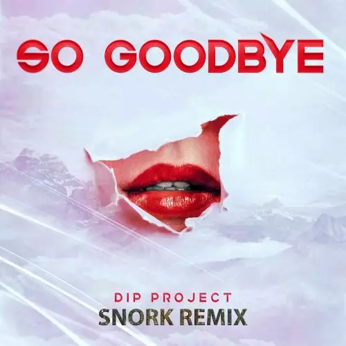DIP Project - So Goodbye (Snork Remix)