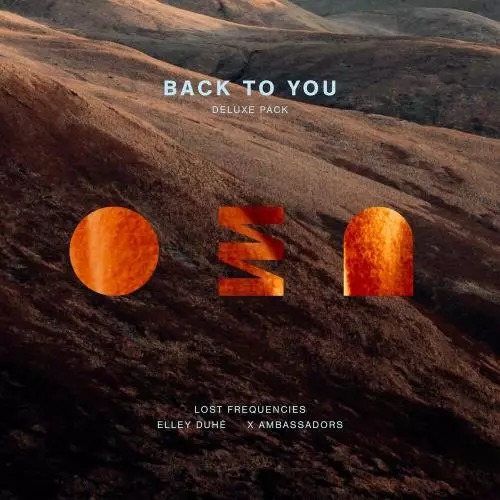 Lost Frequencies feat. Elley Duhe & X Ambassadors - Back To You (Dzeko Remix)