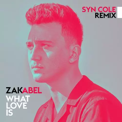 Zak Abel - What Love Is (Syn Cole Remix)