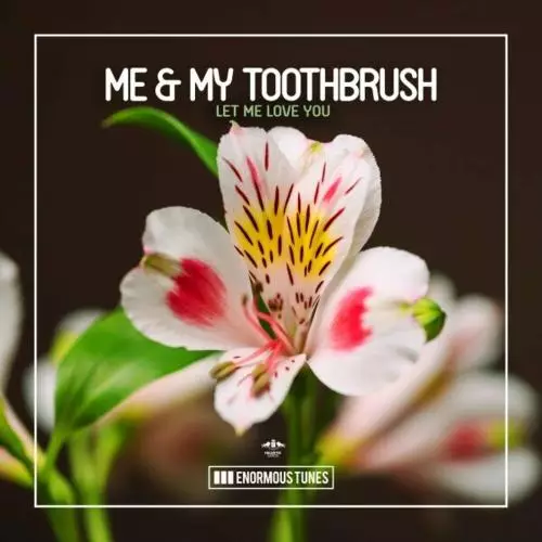 Me & My Toothbrush - Let Me Love You