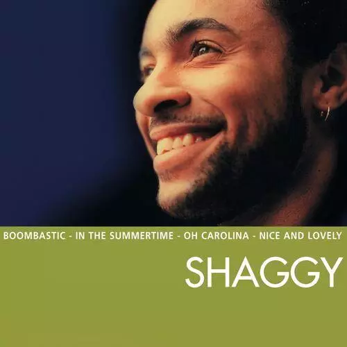 Download and listen to music for free in mp3 Shaggy - Boombastic