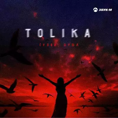 TOLIKA - Гуляй, душа