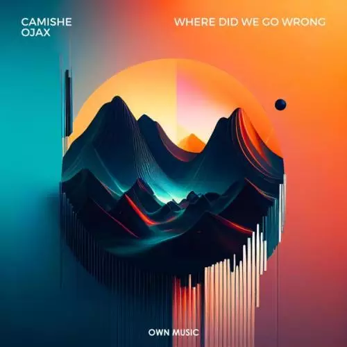 Camishe feat. Ojax - Where Did We Go Wrong