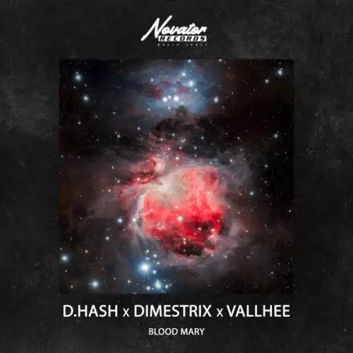 D.Hash feat. DIMESTRIX & Vallhee - Blood Mary