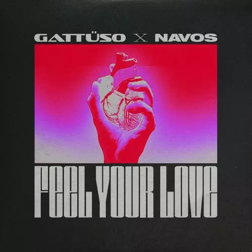 Gattuso feat. Navos - Feel Your Love
