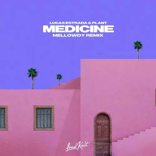 Lucas Estrada feat. Plant - Medicine (Mellowdy Remix)