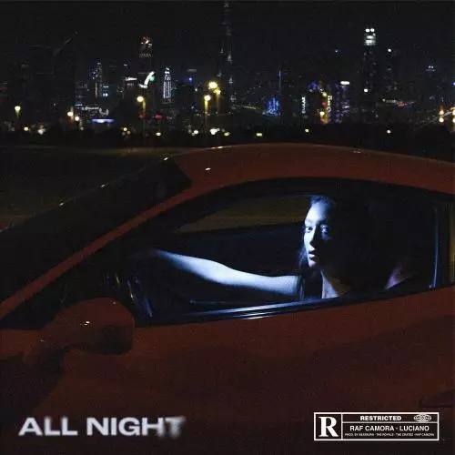 RAF Camora feat. Luciano - All Night