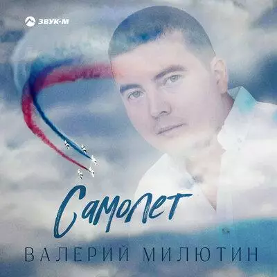 Валерий Милютин - Самолёт