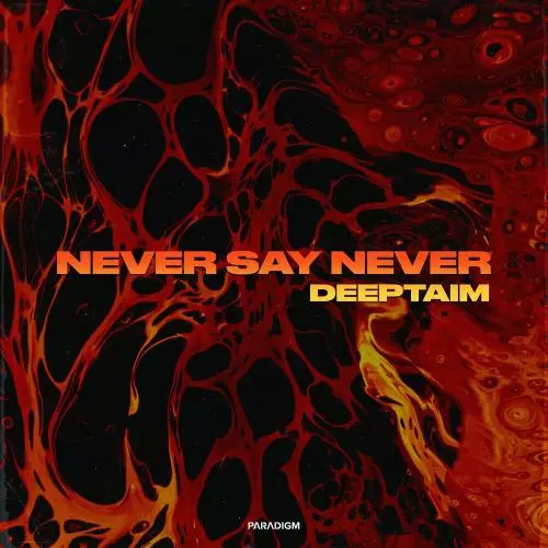 Deeptaim - Never Say Never