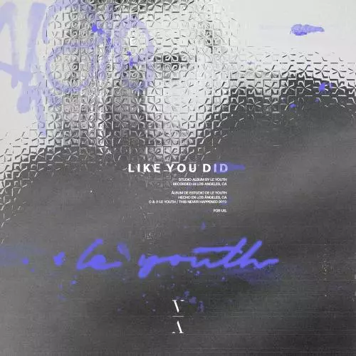 Le Youth - Like You Did
