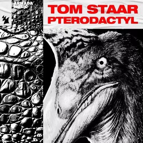 Tom Staar - Pterodactyl
