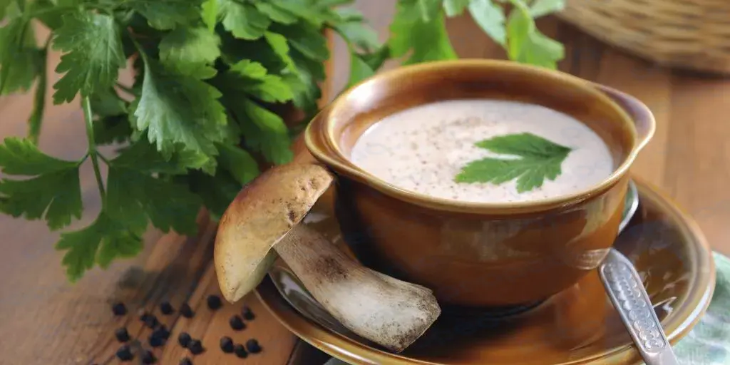10 delicious soups made from fresh and dried porcini mushrooms / ZAMONA